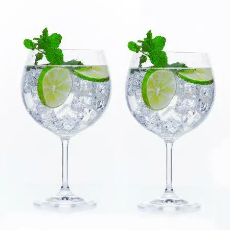 Gin_and_Tonic_Glasses