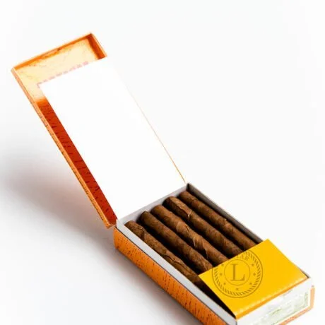 partagas-mini-10 2
