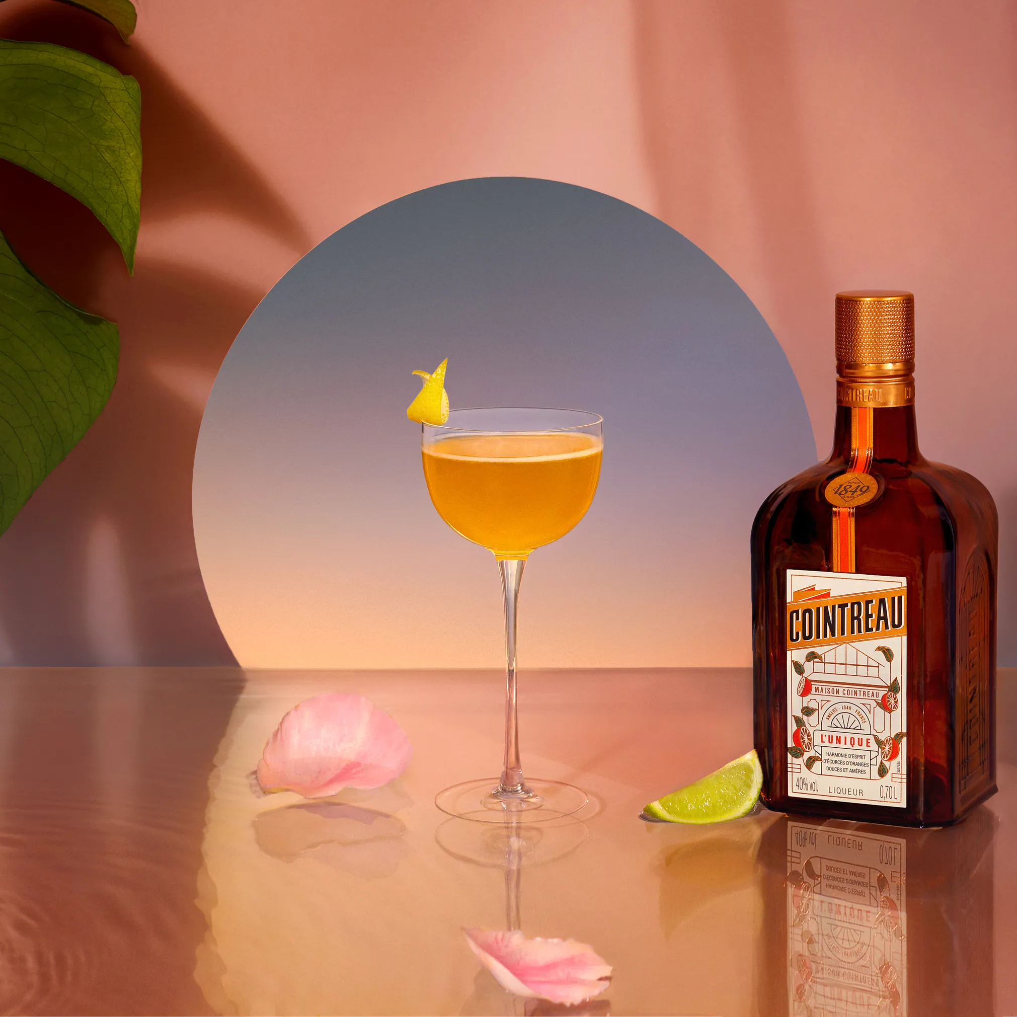 cointreau nueva etiqueta 2