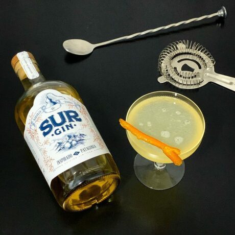 Gin SUR-1500×1500-naranja 1