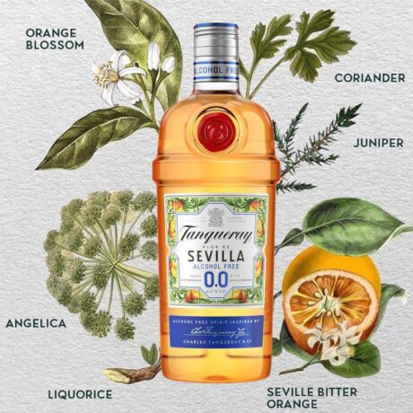 TANQUERAY SEVILLA_0.0 2
