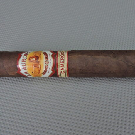 La Aurora serie 1903 Cameroon Robusto 6