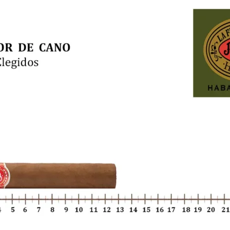 flor-de-cano-elegidos