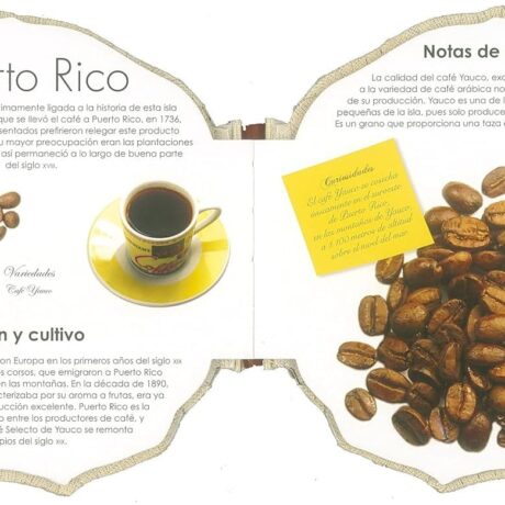 cafes del mundo 1
