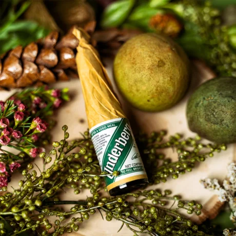 underberg x 1 1