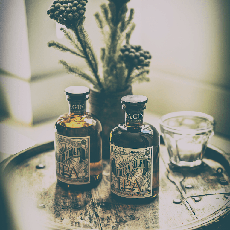 gin iradier y bulfy 500ml 5