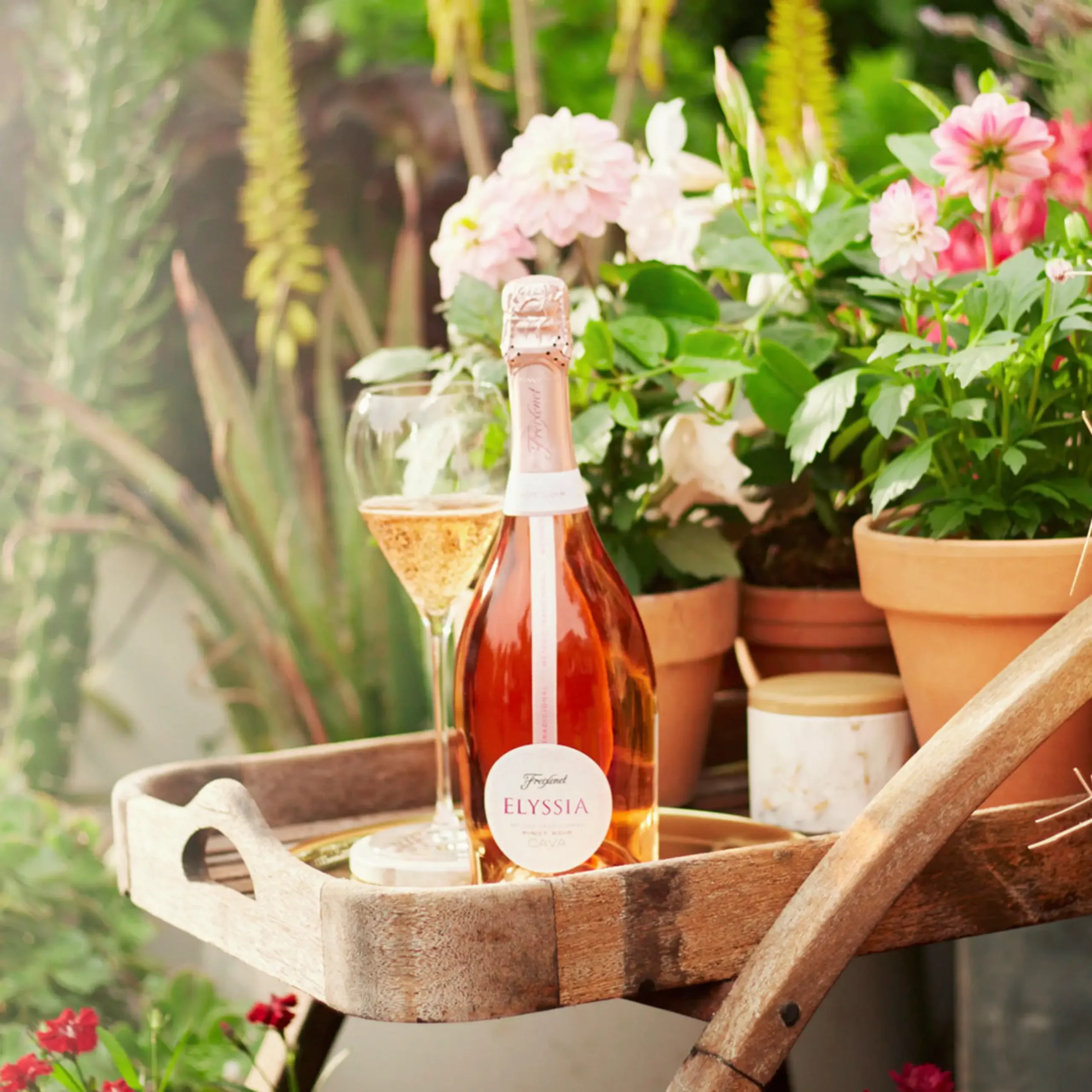 Cava Freixenet ELISSYA PINOT NOIR 750ml 3